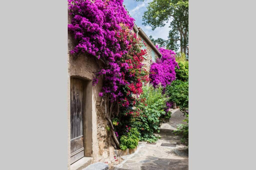 Coquet 2 Pieces Coeur Vieil Antibes Apartment Екстериор снимка